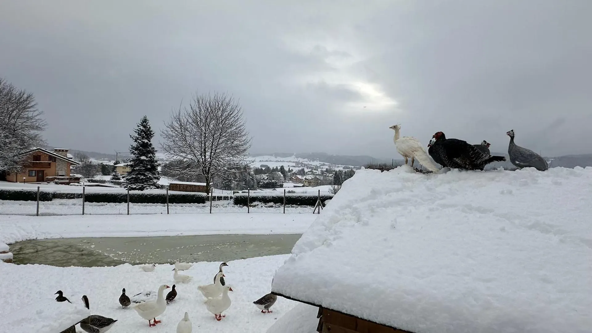 Agriturismo Lambra La Casa Del Sol Asiago Alloggio per agriturismo