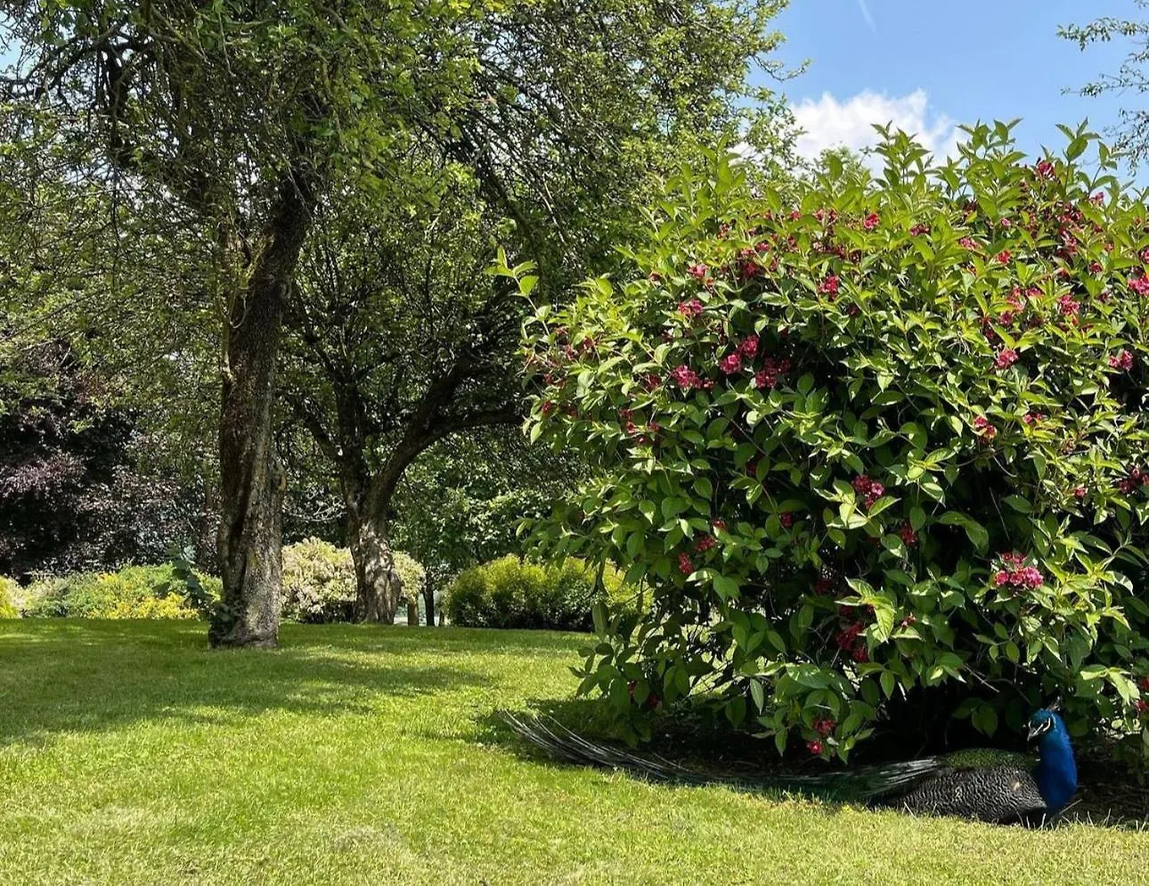 Agriturismo Lambra La Casa Del Sol Asiago